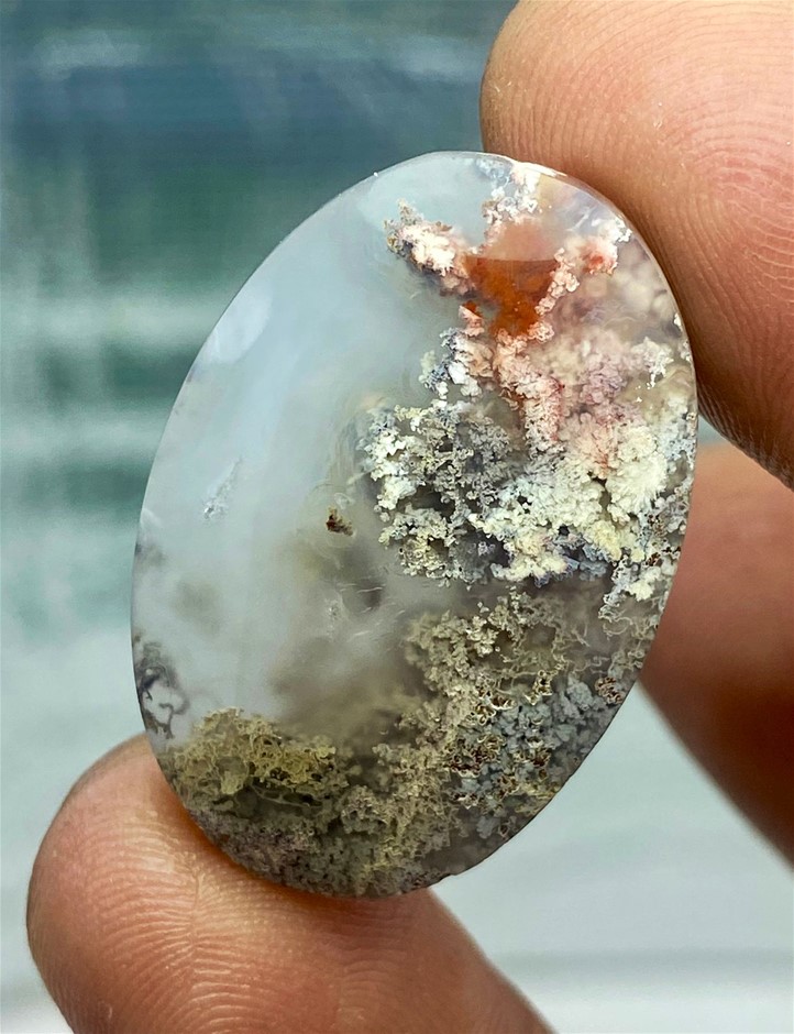 29.00 CT Spectacular Natural Moss Agate