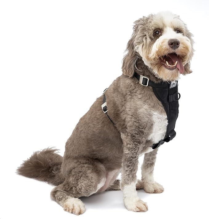 Kurgo Enhanced Strength Tru-Fit Dog Car Harness, Crash Tested, Steel Nestin