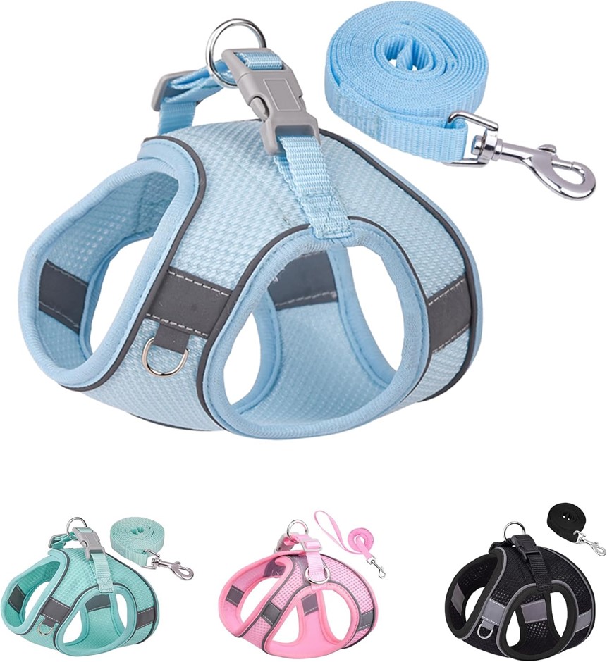SOLMOONY Puppy and Leash Set Blue, Size: Small.