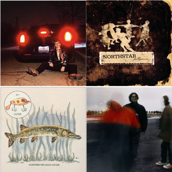 4 x Assorted LP Vinyls, incl. BOBBY CONN, NICK LOWE, NORTHSTAR, YO LA TENGO