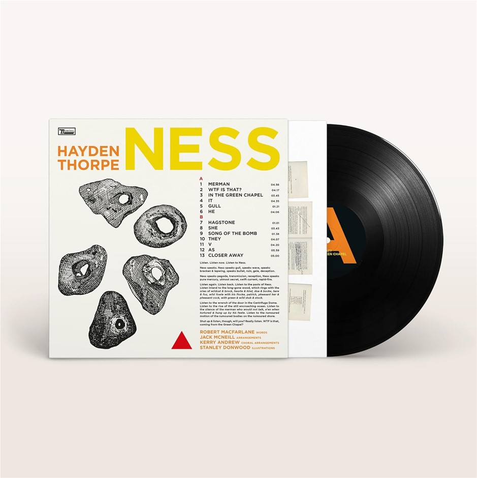 HAYDEN THORPE "Ness" Black Vinyl. (Code: B0D6S1SXKQ)
