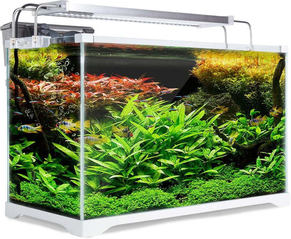 DYNAMIC POWER Starfire Glass Fish Tank 39L (AQ-FT35L). NB: Tank Only & May