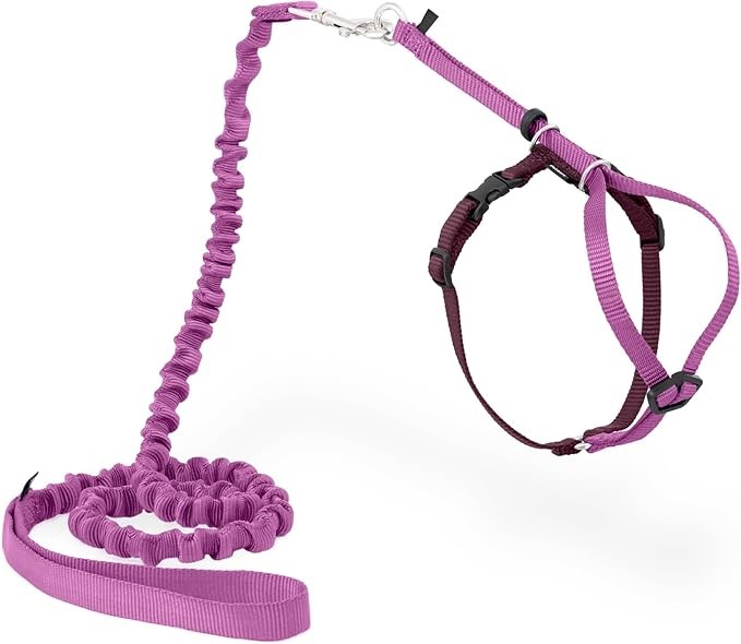 PETSAFE Come with Me Kitty Harness and Bungee Leash, Small, Dusty Rose