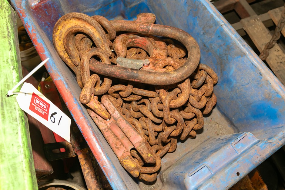 2 Leg Lifting Chain