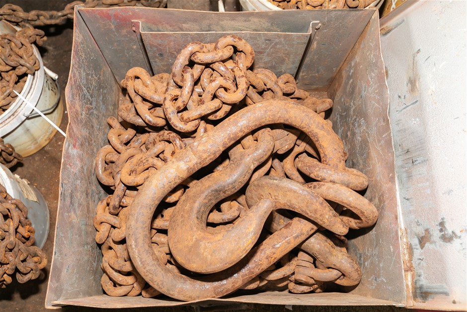 2 Leg Lifting Chain