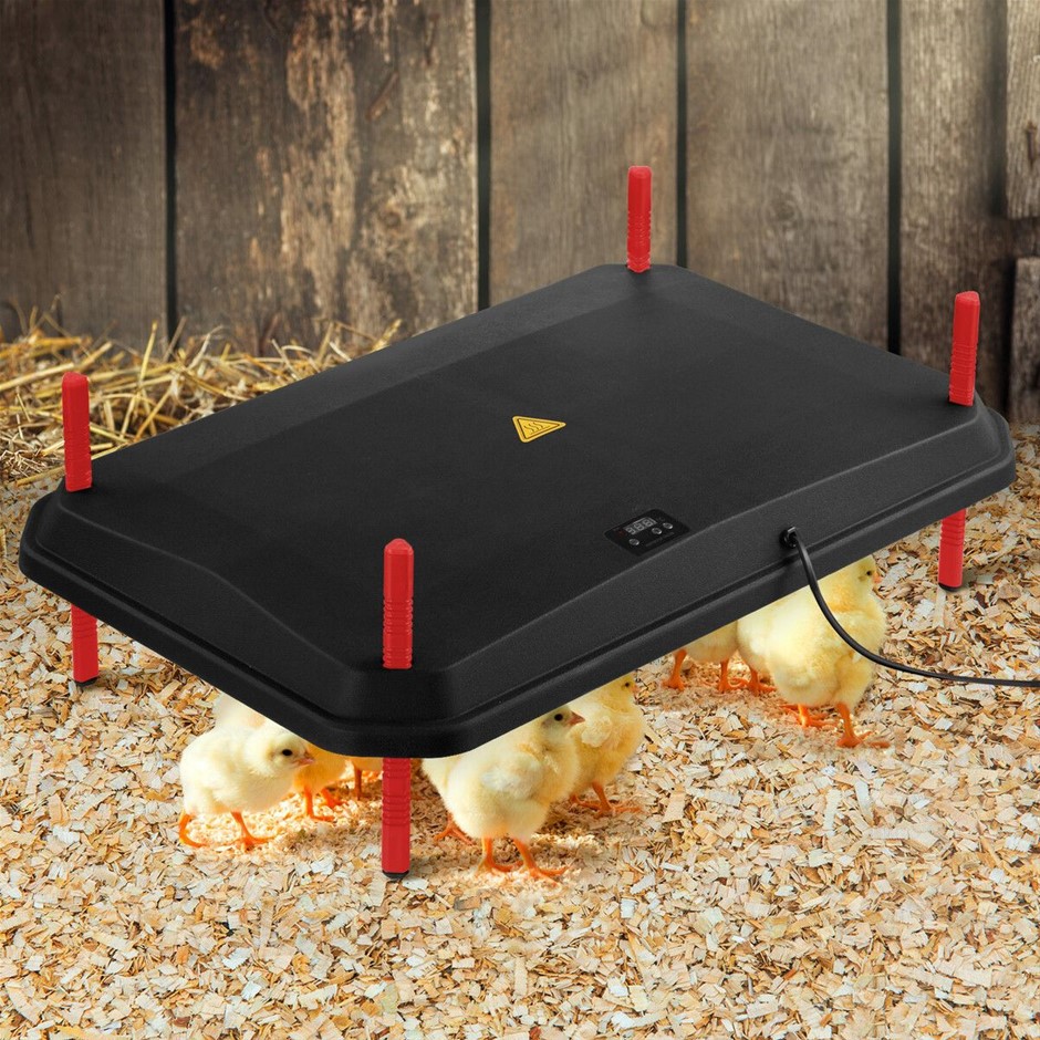 Chick Brooder Heating Plate Chicken Coop Heater 45x60cm