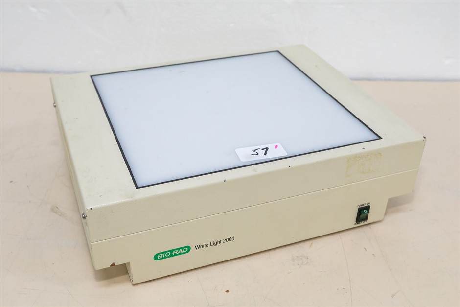 Transilluminator White Light