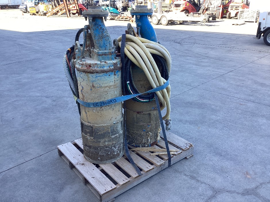 <p>2 x Submersible High Head Pumps</p>