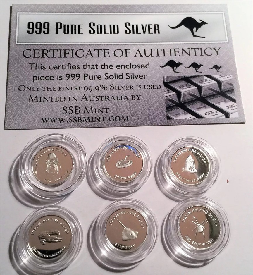 Set of 6 Danger Series 1 Gram 999.0 Pure Silver Coins (6g Approx) C.O.A