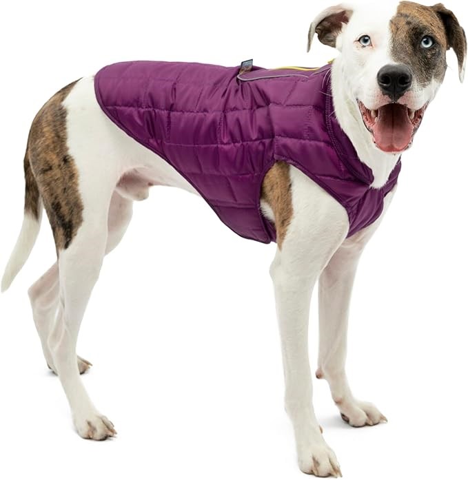 KURGO Reversible Water-resistant Loft Dog Jacket with Reflective Trim, Coa