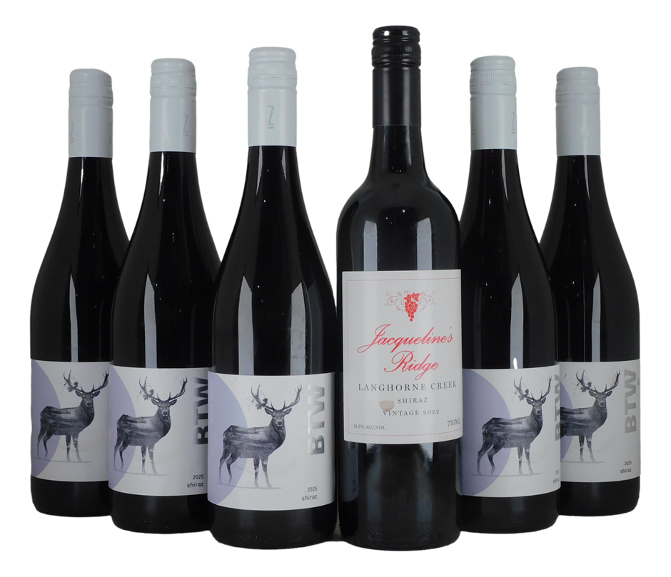 Mixed Shiraz Pack (6x 750mL).