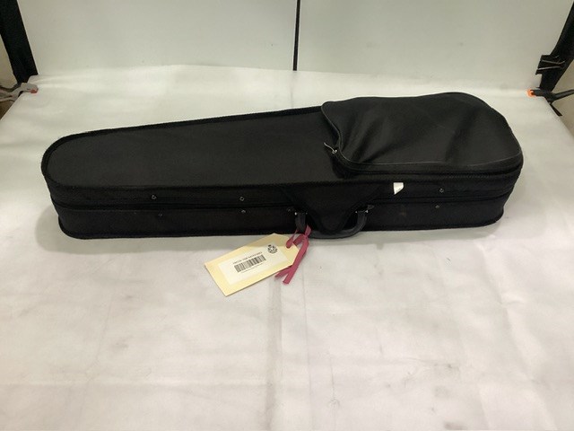 <p>Violin In Case </p>