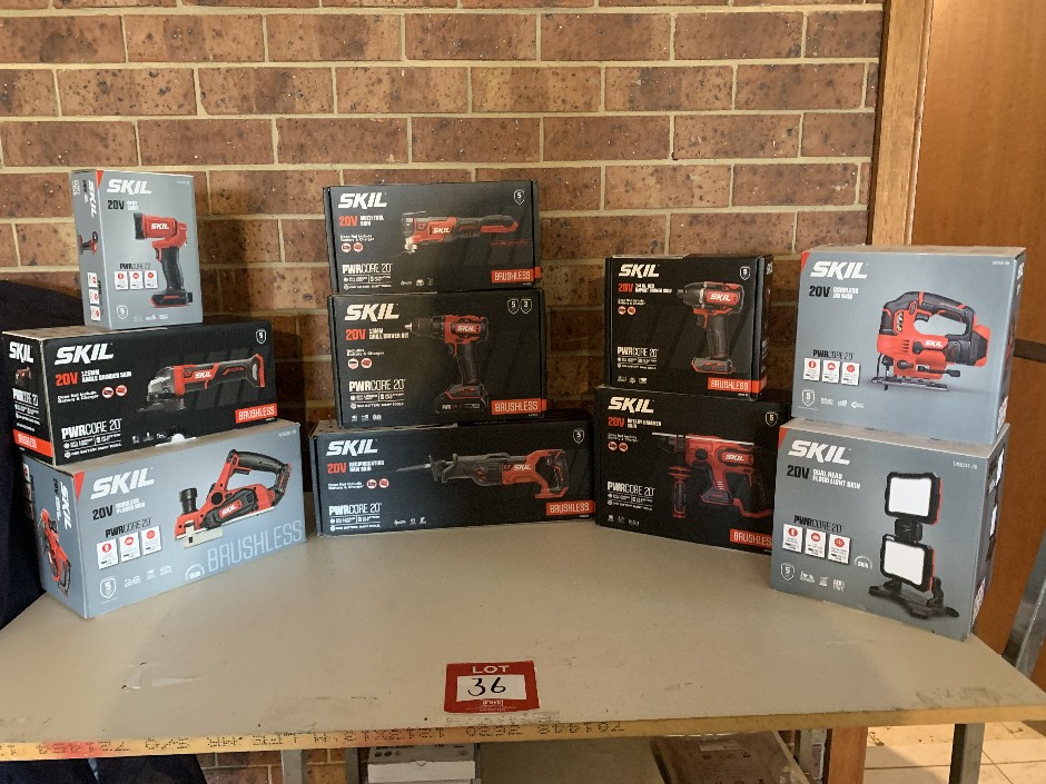 Set of 10 x Various Skil Power Tools, 20 Volt, 2 x Batteries and Charger
