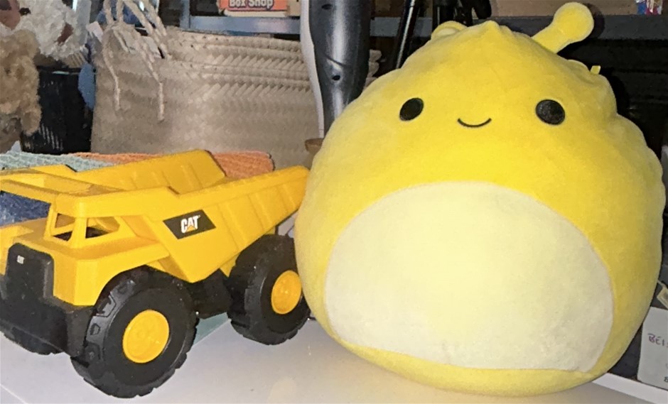 2x Kids Toys