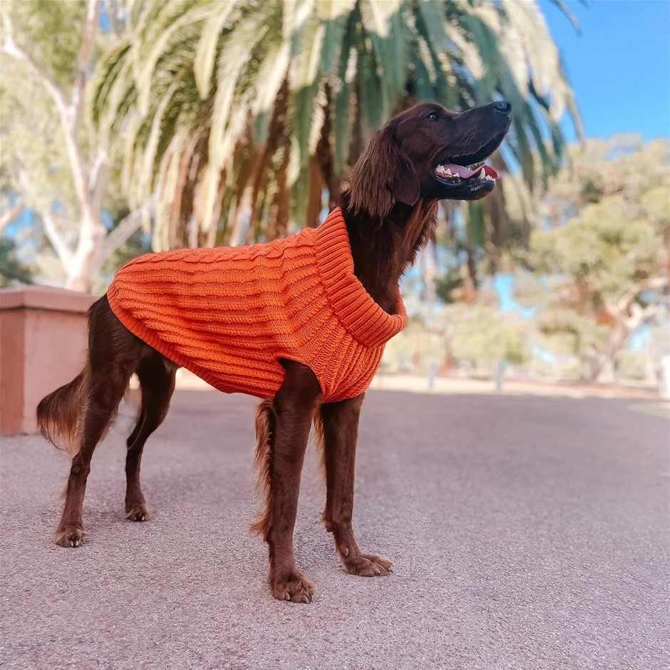 HUSKIMO Cali Knit Dog Jumper, Tangerine, 60cm