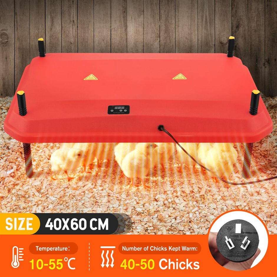 40x60cm Chick Brooder Heating Plate Adjustable Temperature 40–50 Chicks