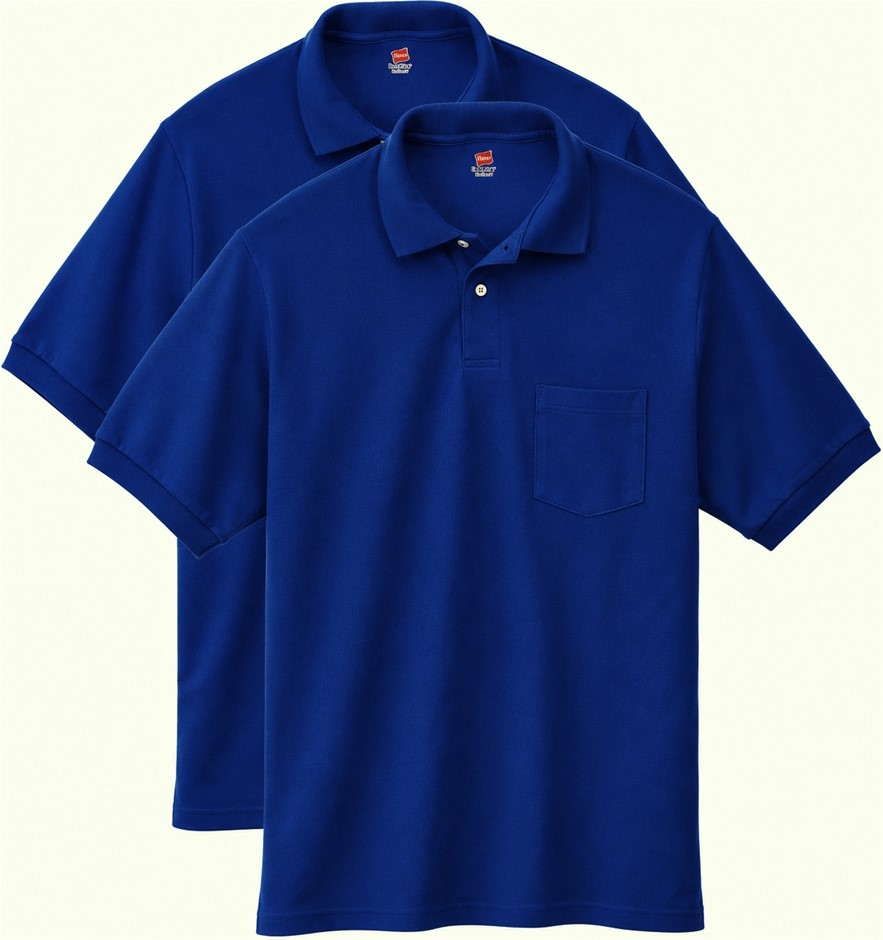 HANES 2 PACK Men's Short-Sleeve Jersey Pocket Polo, Blue, Size 2XL