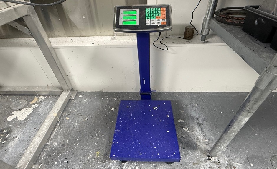 Digital Platform Scale