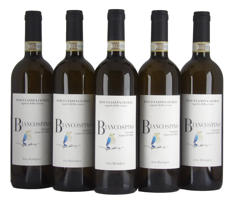 Tenuta Santa Cecilia Biancospino Pignoletto Superiore DOCG 2018 (5x 750mL) 