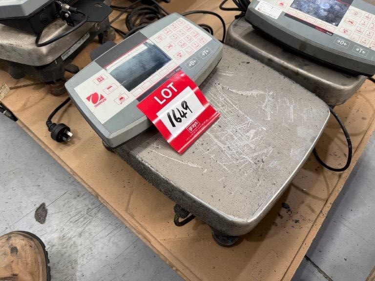 Ohrus Digital Bench Scales 