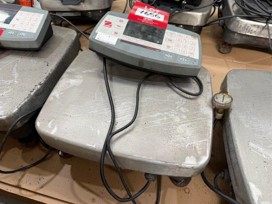 Ohrus Digital Bench Scales 
