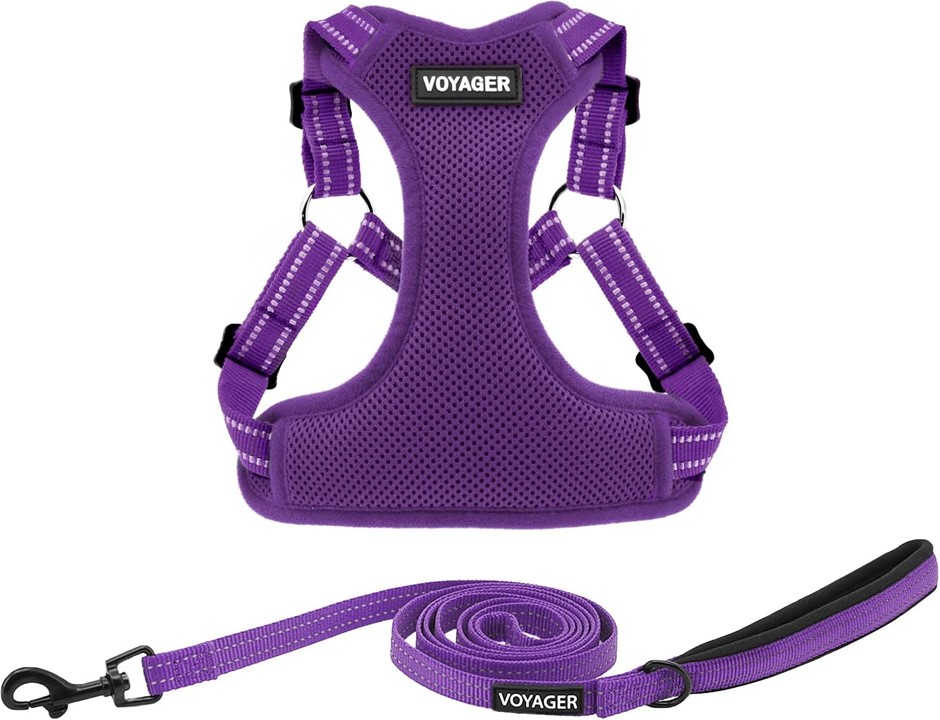 BEST PET SUPPLIES Best Pet Supplies Voyager Adjustable Dog Leash Set Harnes