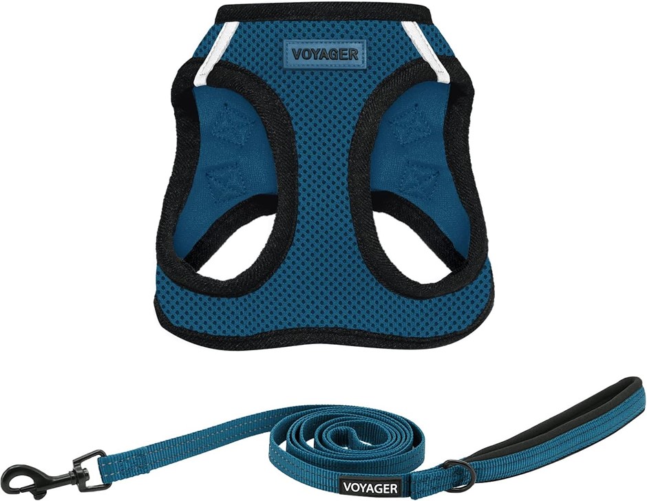 BEST PET SUPPLIES Voyager Step-in Air Leash Harness (Blue/Black Trim), XS
