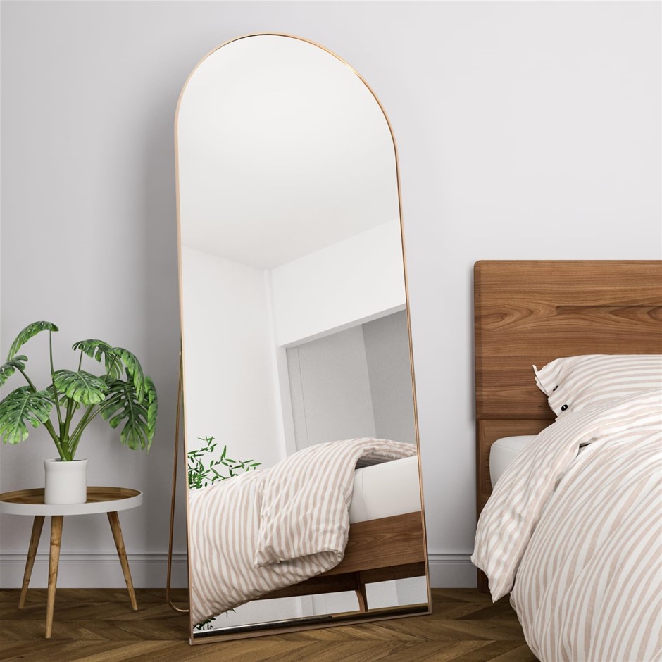 RACHMADES Full Length Mirror 65"x24"