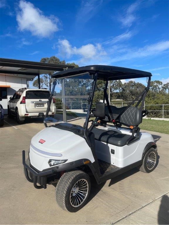 Deluxe 2 Seater Electric Golf Cart / Buggy(Unused)