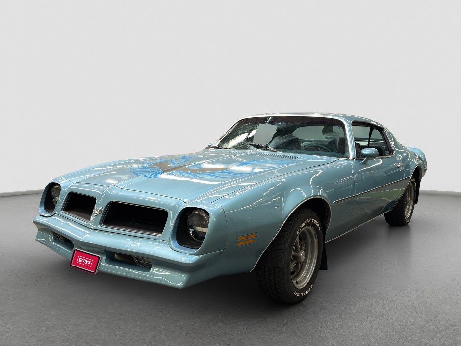 1976 Pontiac Firebird  Petrol
