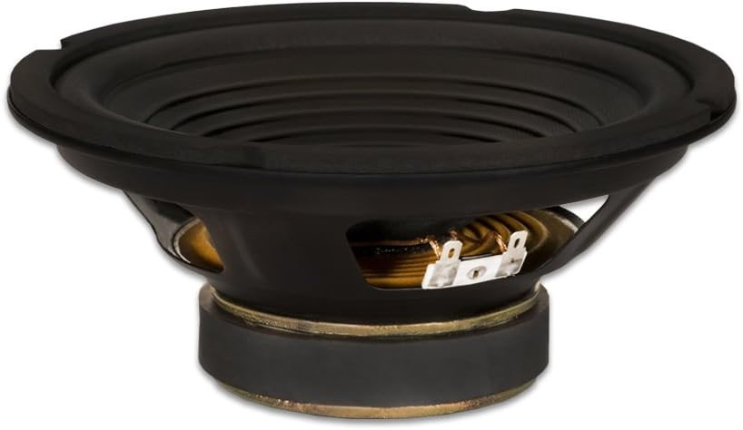 GOLDWOOD SOUND GW-208/8 OEM 8" Woofer 200 Watts 8ohm Replacement Speaker, B