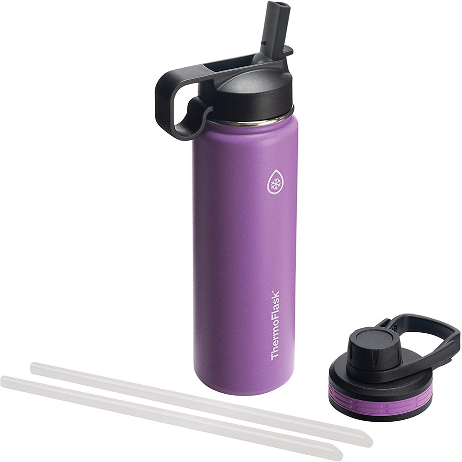 2 x THERMOFLASK with Chug and Straw Lid, 24oz, Plum.