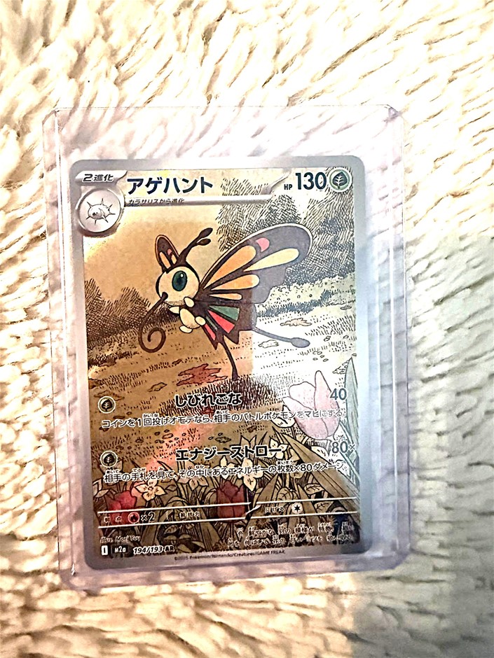 panese Beautifly AR 194/193 Art Rare