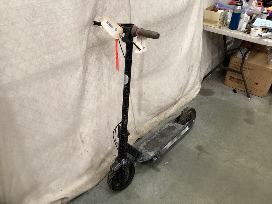 Painted Ninebot electric e-scooter