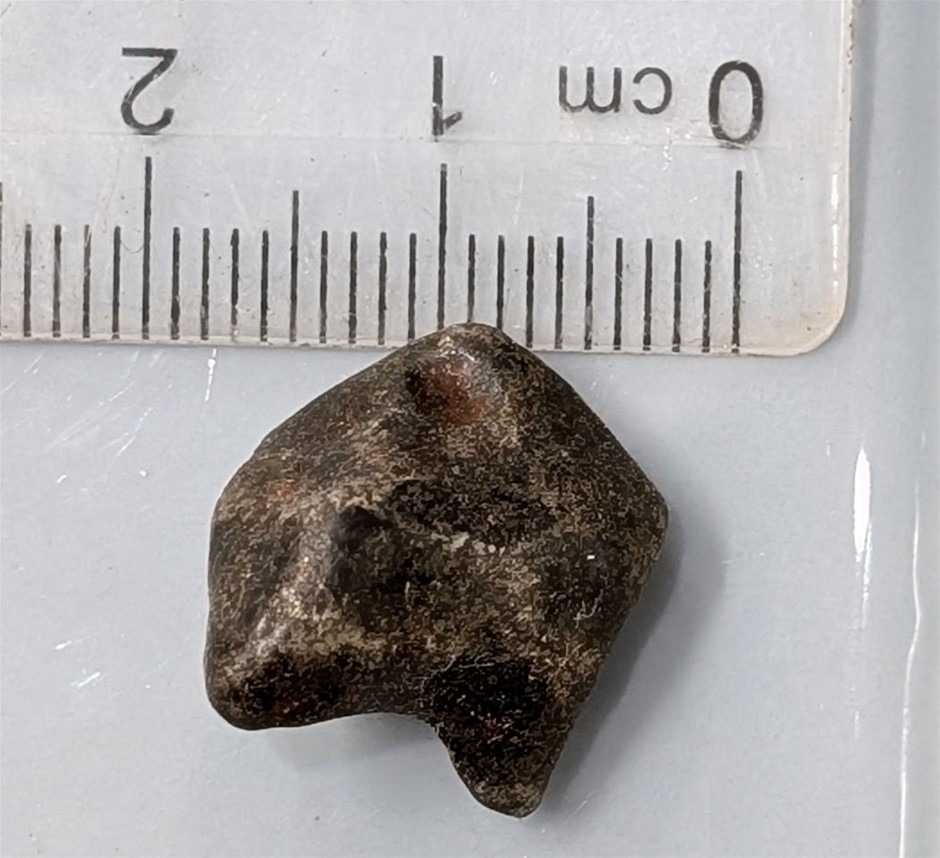 5.6 Gram AGOUDAL Imilchill IIAB Iron Meteorite from Atlas Mountains