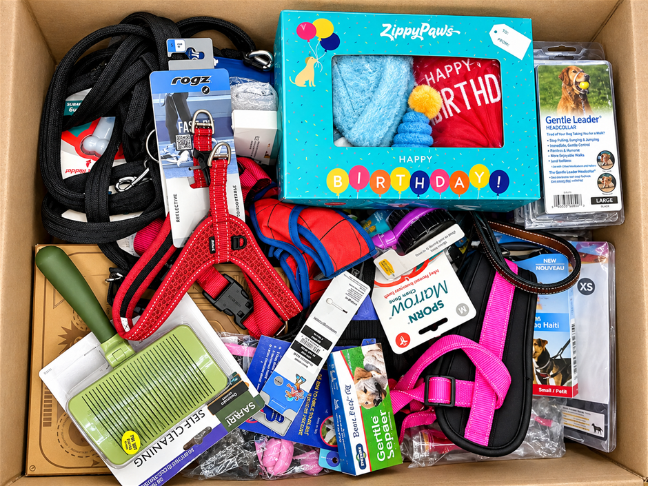 Assorted Pet & Dog Accessories – Harnesses, Leads, Headcollars, Grooming To