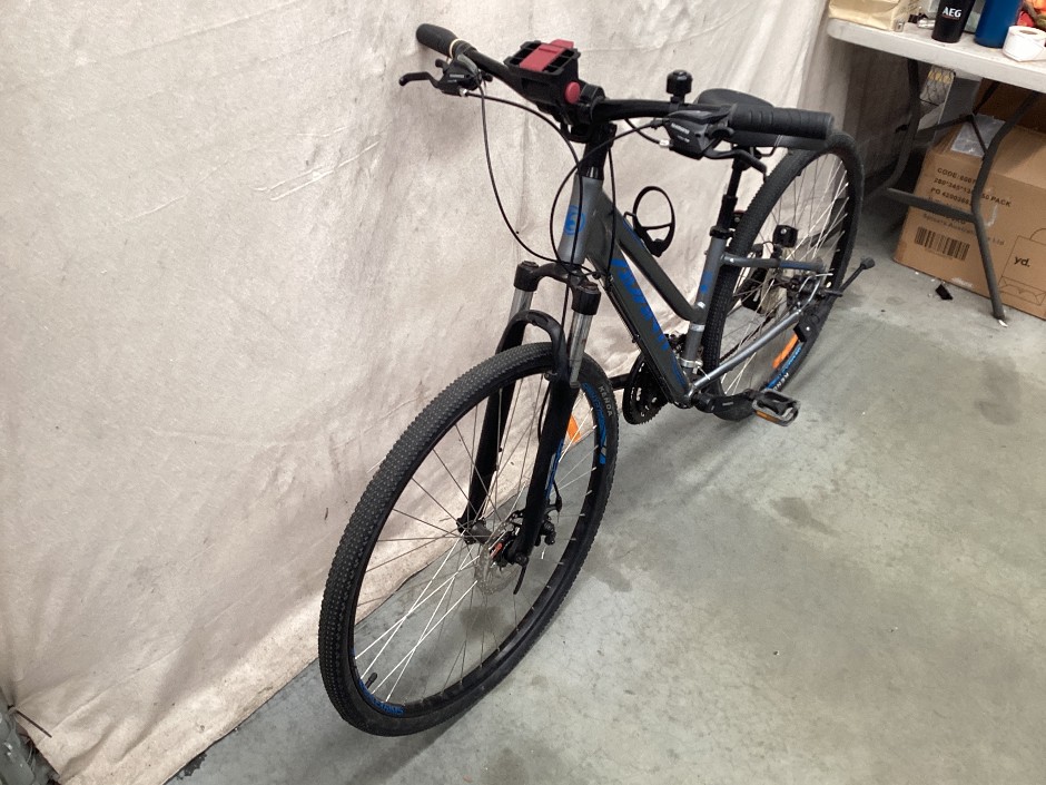 Avanti Female Bicycle