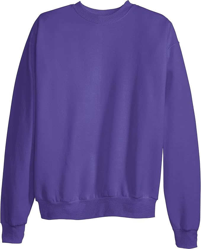 HANES Men's EcoSmart Fleece Sweatshirt, Size M, Purple, OP160. Buyers Note