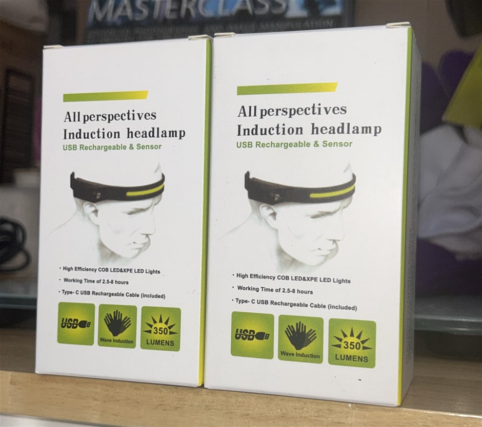 2x All Perspectives Induction Headlamps