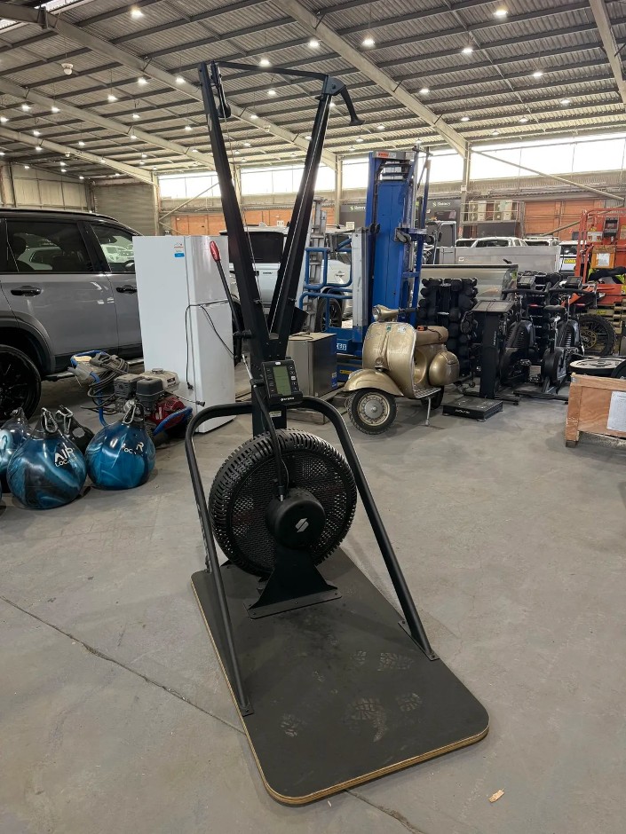 Ski ERG Exercise Machine