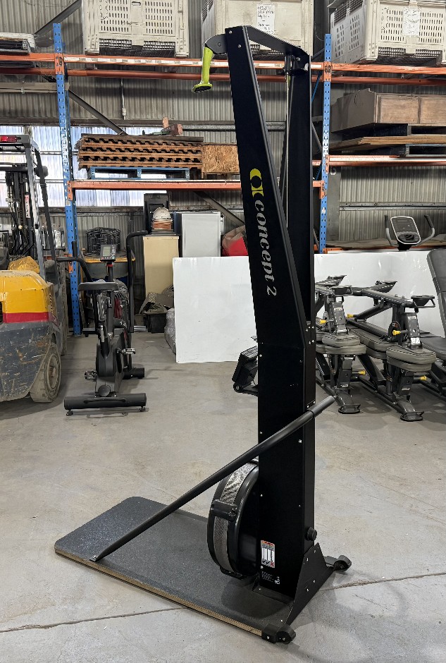 Ski ERG Exercise Machine