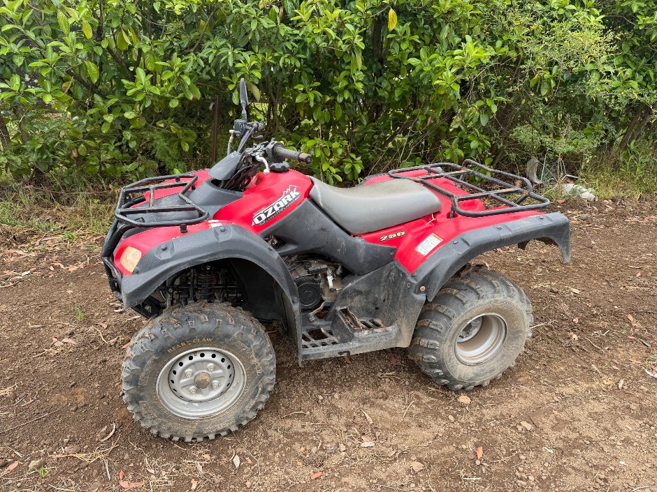 Suzuki Ozark 250 Quad Bike