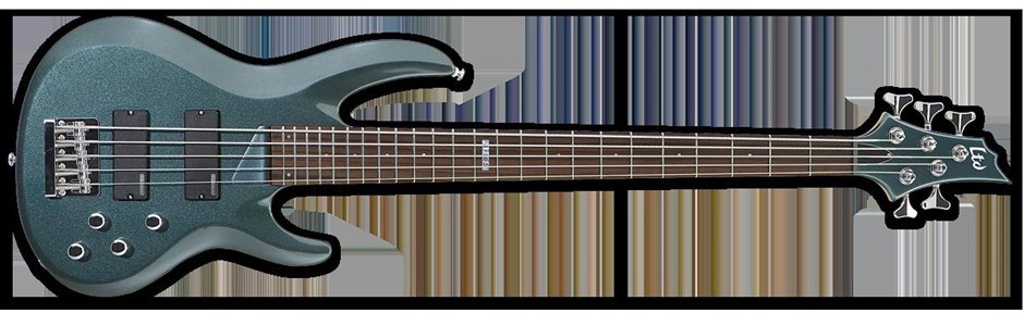 ESP LTD B-105 B Series 5 String Bass Gui