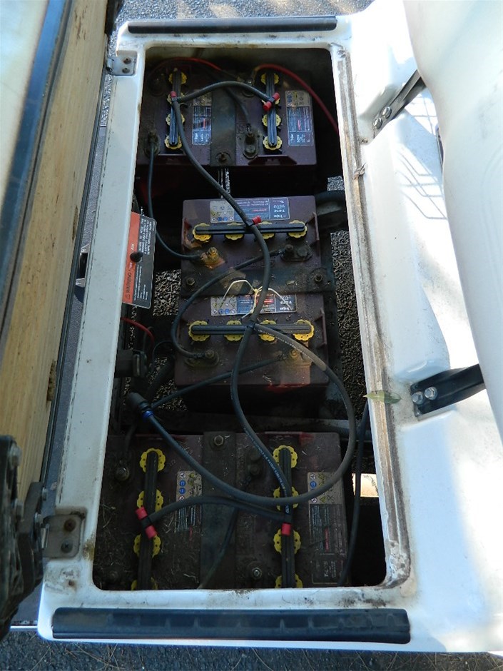 2004 Club Car 48V DS Golf Electric golf cart, Colour