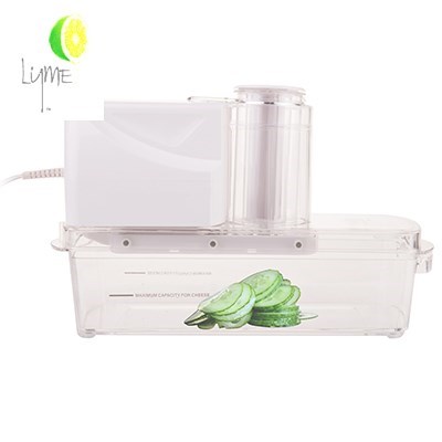 LYME Electra 250 Electric Mandolin Slice