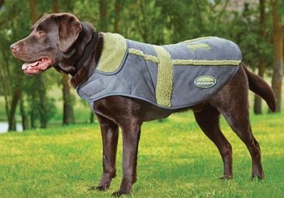 Weatherbeeta moleskin dog on sale coat