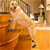 Non-Slip Dog Socks for Dogs 20 to 80+kg Pink Bone XXLarge