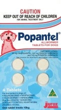 Popantel Allwormer for Dogs 10kg 4 Tabs