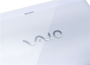 Sony VAIO E Series VPCEB46FGW 15.5 inch 