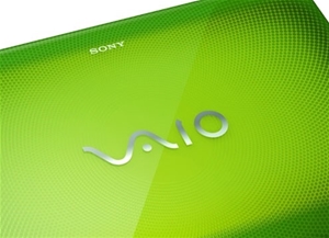 Sony VAIO E Series VPCEB45FGG 15.5 inch 